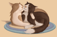 A painted illustration of a pair of long-haired cats cuddling. One is ginger and white, the other is dark brown and white in a tuxedo pattern. They each have spots of color on their chest which pressed together make the shape of a heart. Their noses are also heart shaped. They are sitting on a colorful rug. The illustration is on a pale orange background. There is a faint watermark in the center that says www.yoppvoice.com